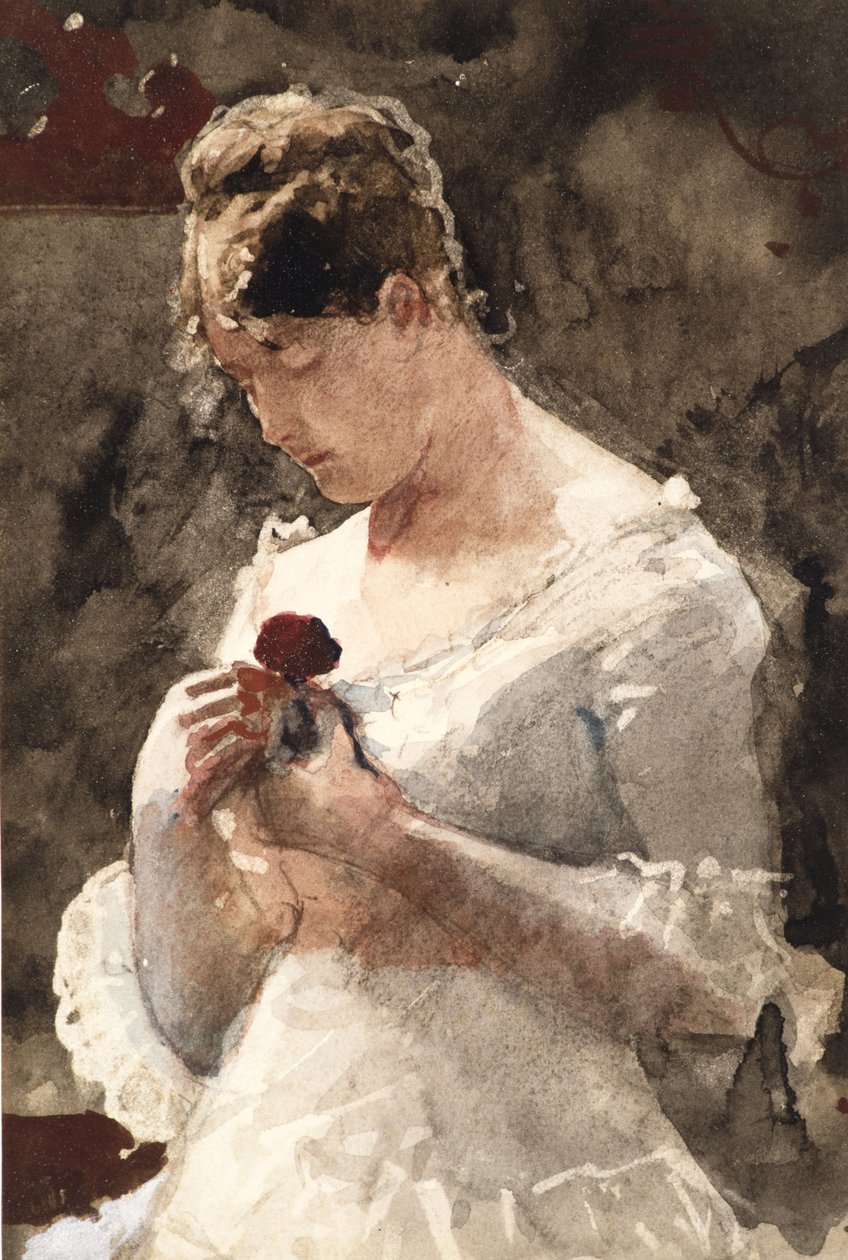 玫瑰的女人，1879年 作者 温斯洛·荷马