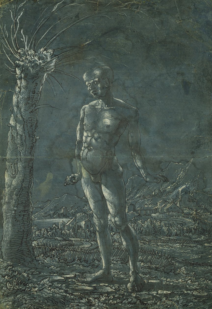 在风景中站立的裸体男人，c.1512（笔和黑色墨水与白色突出在纸上） 作者 沃尔夫·胡伯