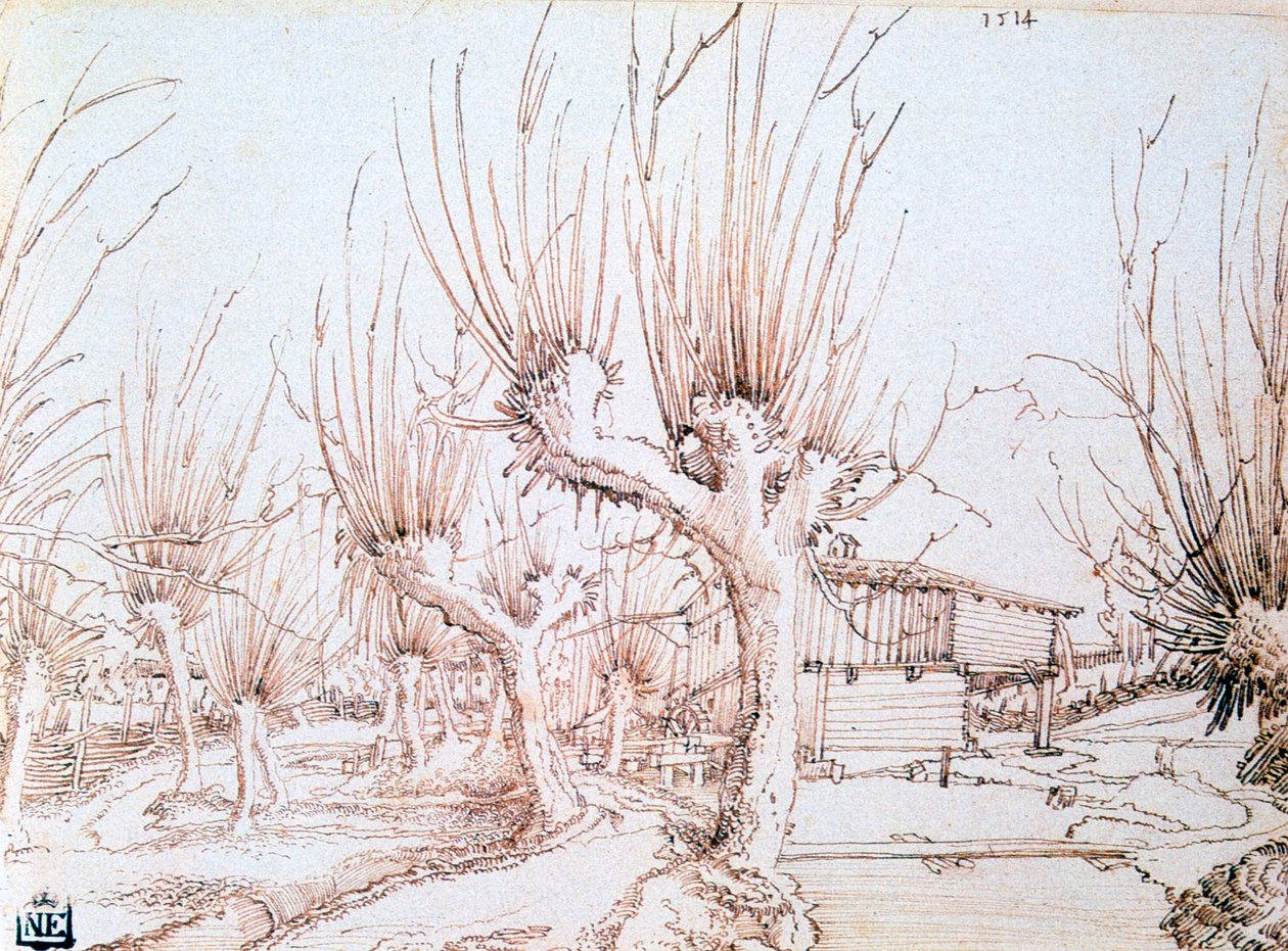柳树种植园》，1514年 作者 沃尔夫·胡伯