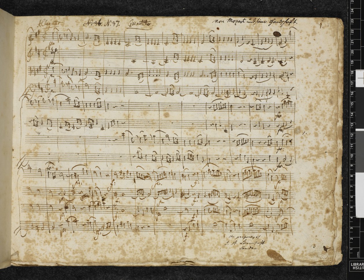 添加 MS 37764 f.1 D 大调弦乐四重奏，K. 499 作者 沃尔夫冈·阿玛迪斯·莫扎特