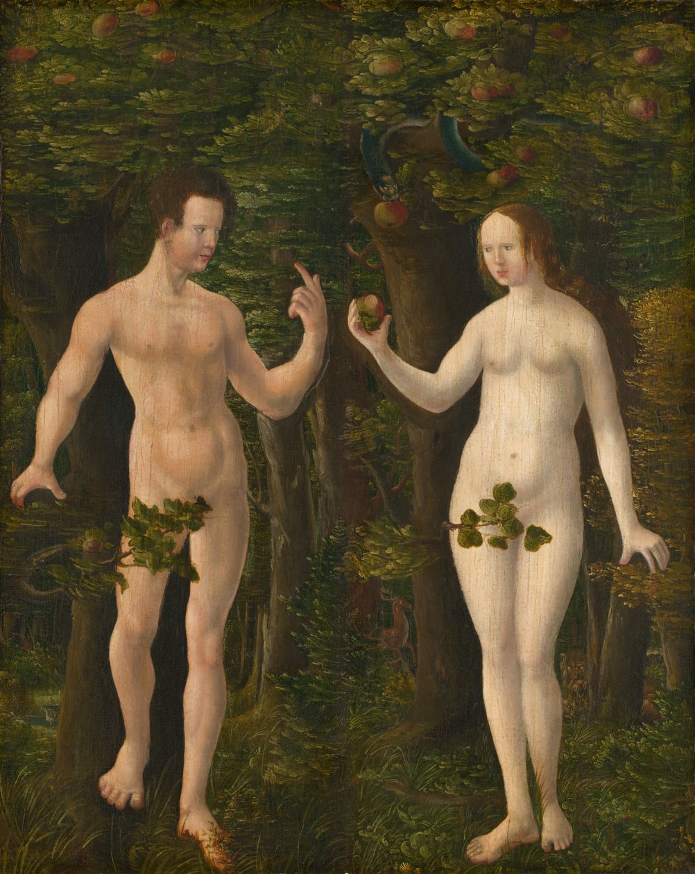 人的堕落[中间部分]，约1535年。 作者 Albrecht Altdorfer 的工作室