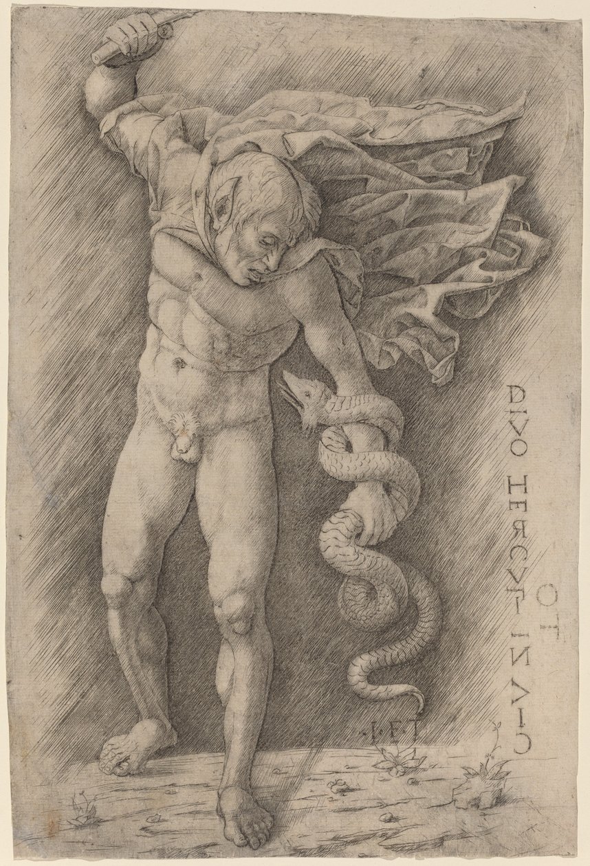 花仙子与蛇搏斗 作者 Andrea Mantegna 工作室