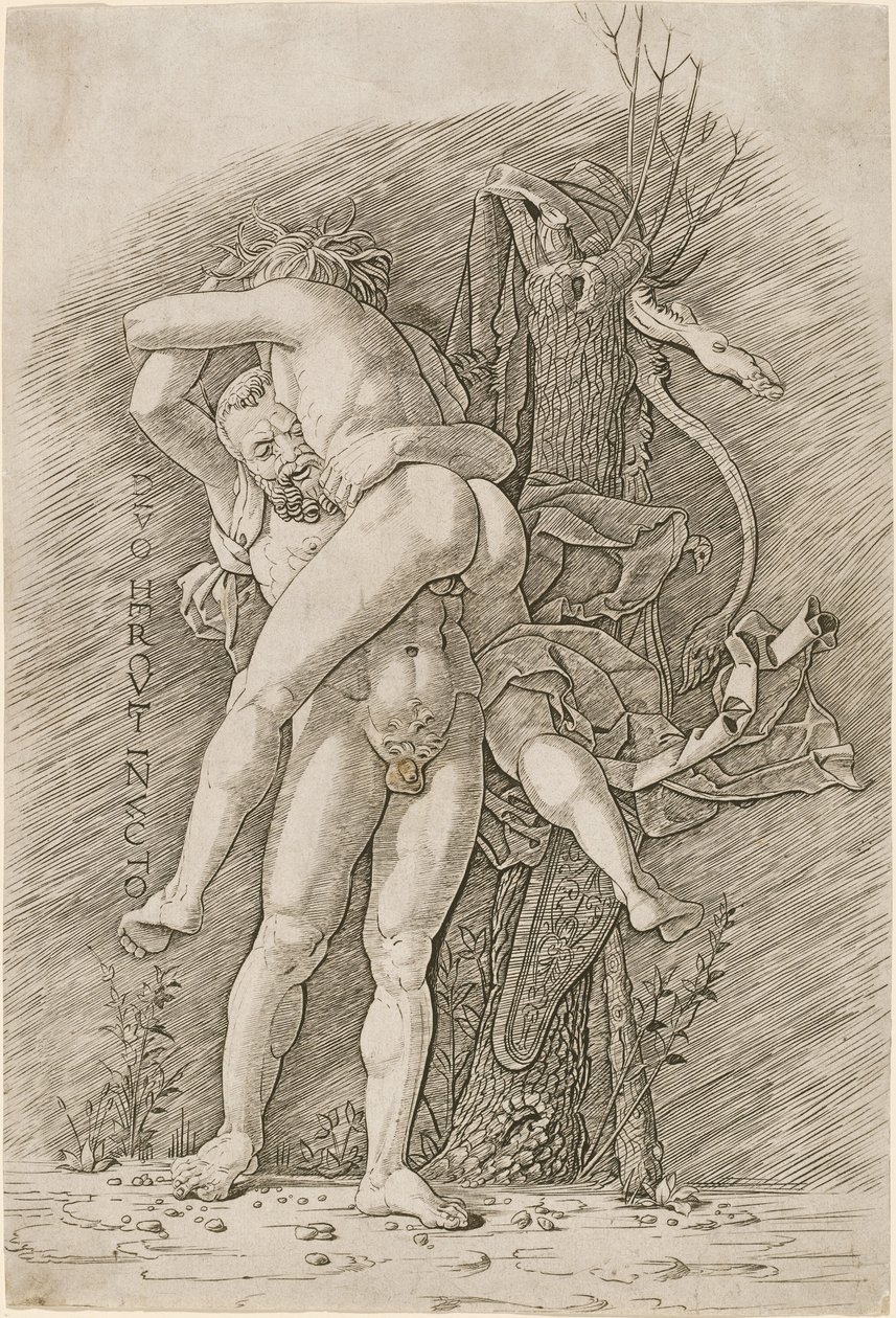 海格力斯和安泰 作者 Andrea Mantegna 工作室