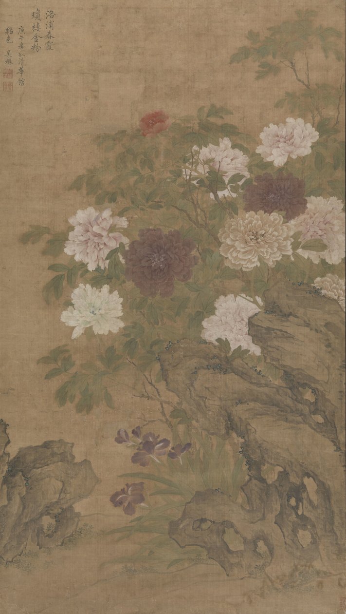 岩石上的牡丹和鸢尾花 作者 吴某