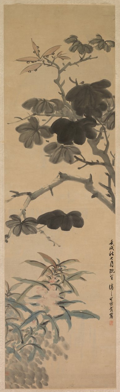 开花植物 作者 吴让智