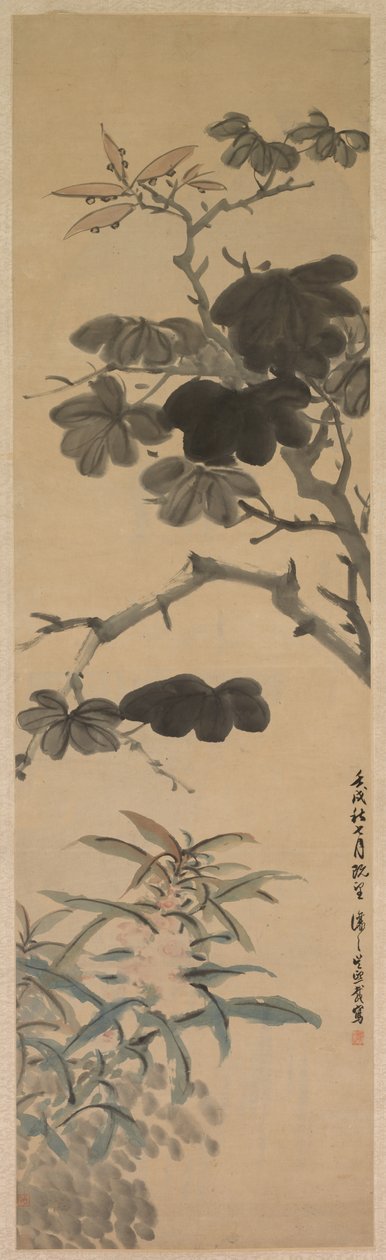 开花植物，1862年。 作者 吴让智