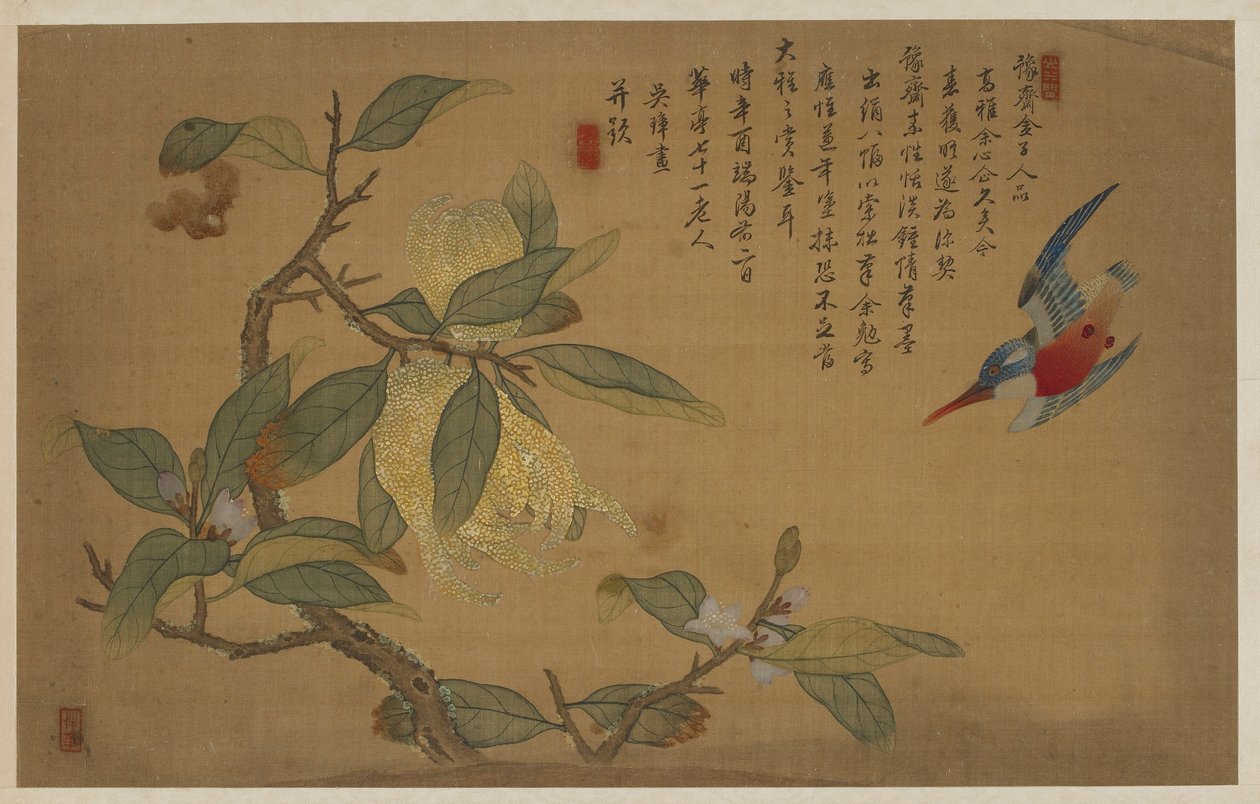 鸟、水果和花朵 作者 吴章