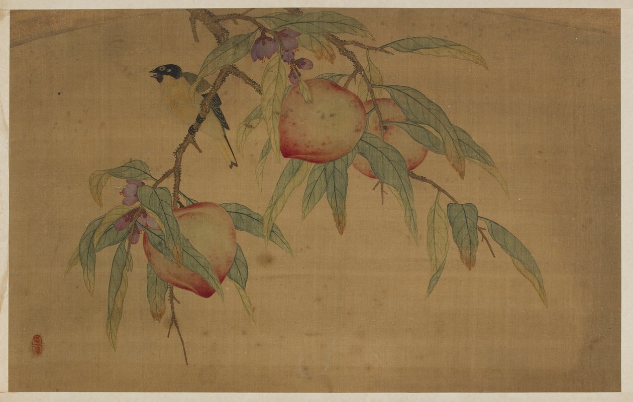 鸟、果、花，清代，1741年。 作者 吴章
