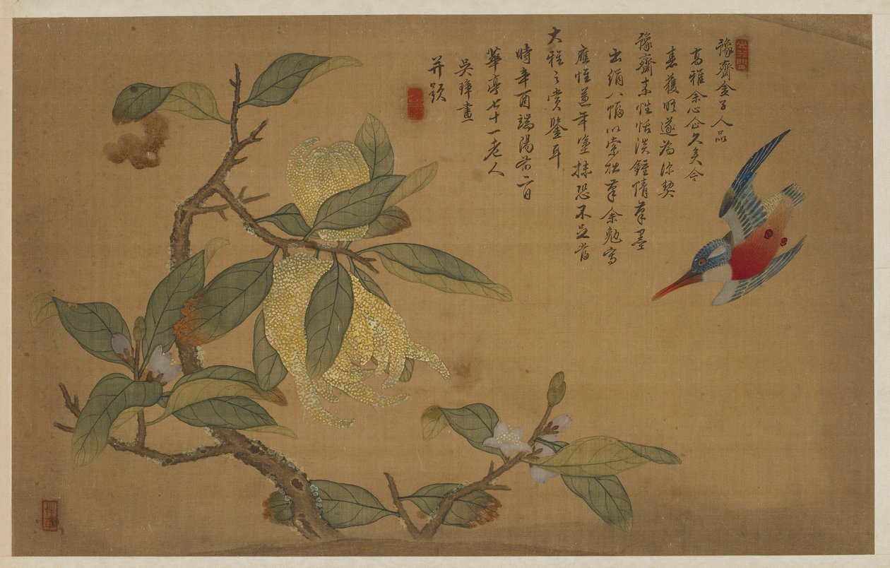 鸟、果、花，清代，1741年。 作者 吴章