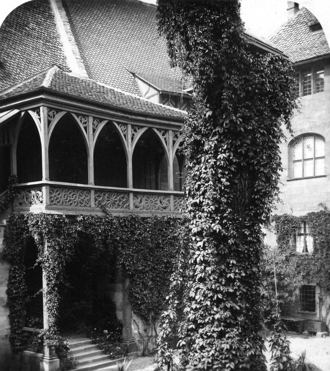 1900树在庭院里，纽伦堡，巴伐利亚，德国，c1900s。 作者 沃思和儿子
