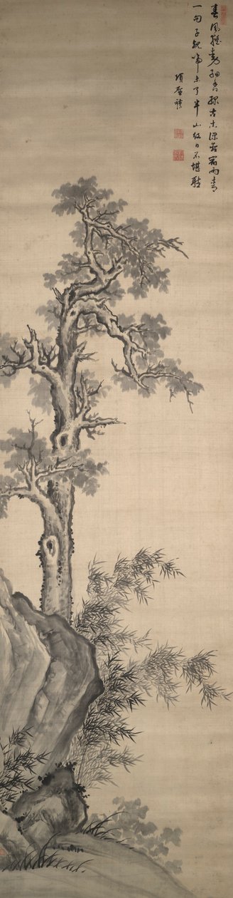 梧桐树、竹子和岩石 作者 向胜模