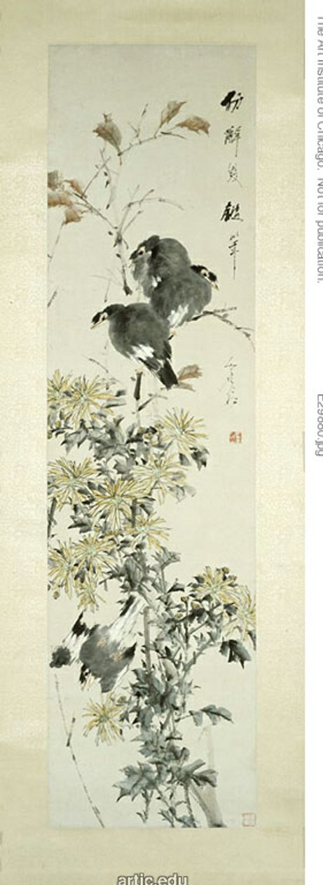 凤头麦娜鸟和菊花 作者 徐ugu