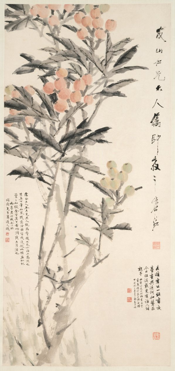 琵琶（枇杷） 作者 徐ugu