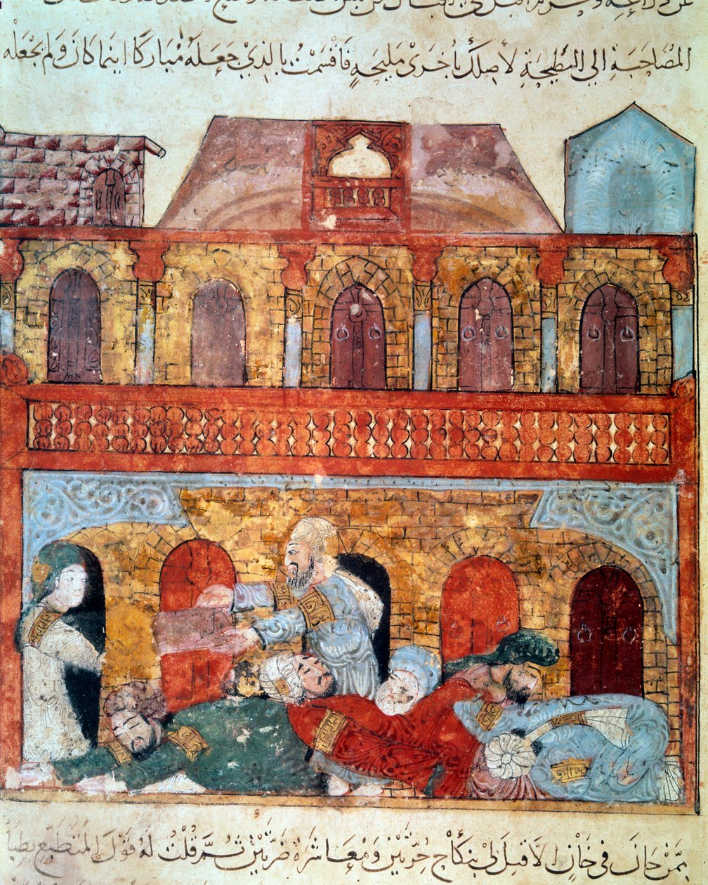 漂泊的航海家阿布-扎伊德（Abu Zayd，Abu Zayd）和沉睡的商人 迷你画取自阿布-穆罕默德-卡西姆-伊本-阿里-哈里里（或称阿尔-哈里里或阿尔-哈里里）（1054-1122）的 "Maqamat"（Seances），由叶海亚-马哈茂德-瓦西提（al-Wasiti）放大，在 作者 叶海亚·伊本·马哈茂德·瓦西蒂