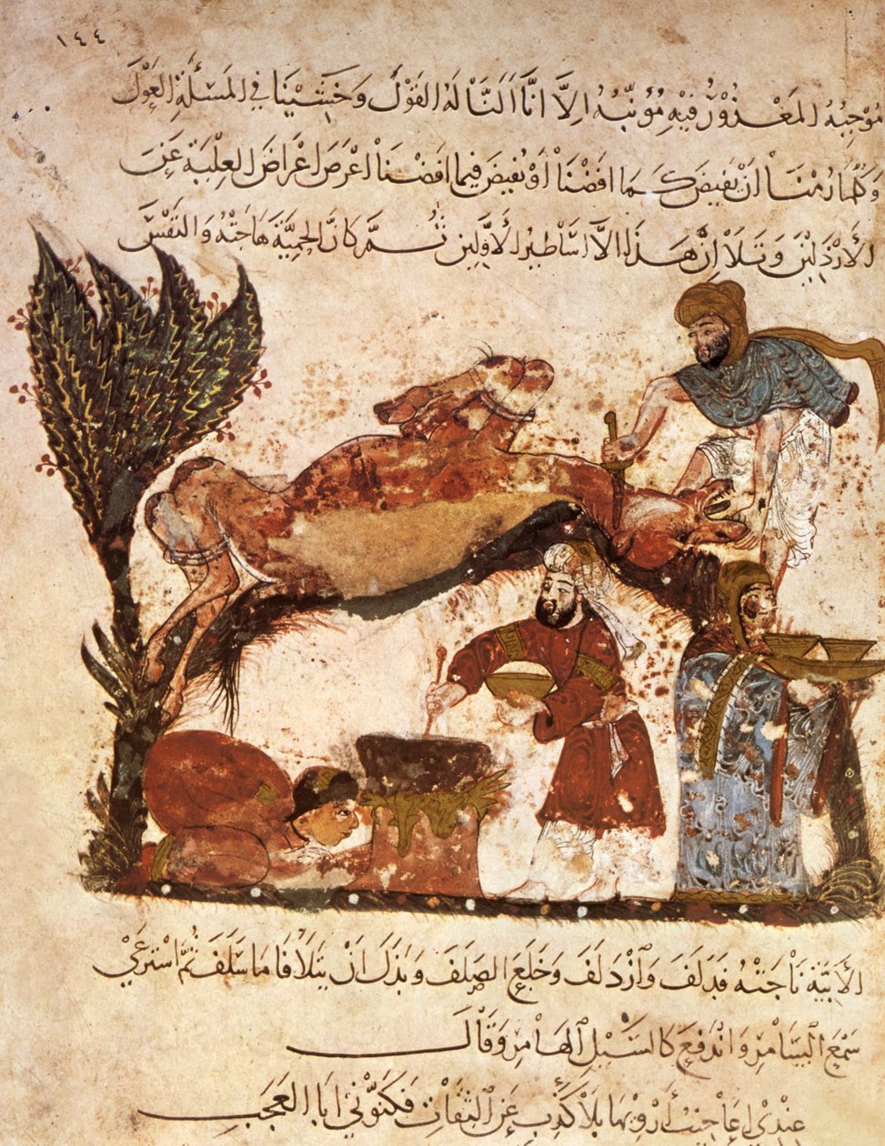 Ar 5847 f.61，准备一场盛宴，来自Al Hariri的Al Maqamat，c.1240（牛皮纸上的水粉） 作者 叶海亚·伊本·马哈茂德·瓦西蒂
