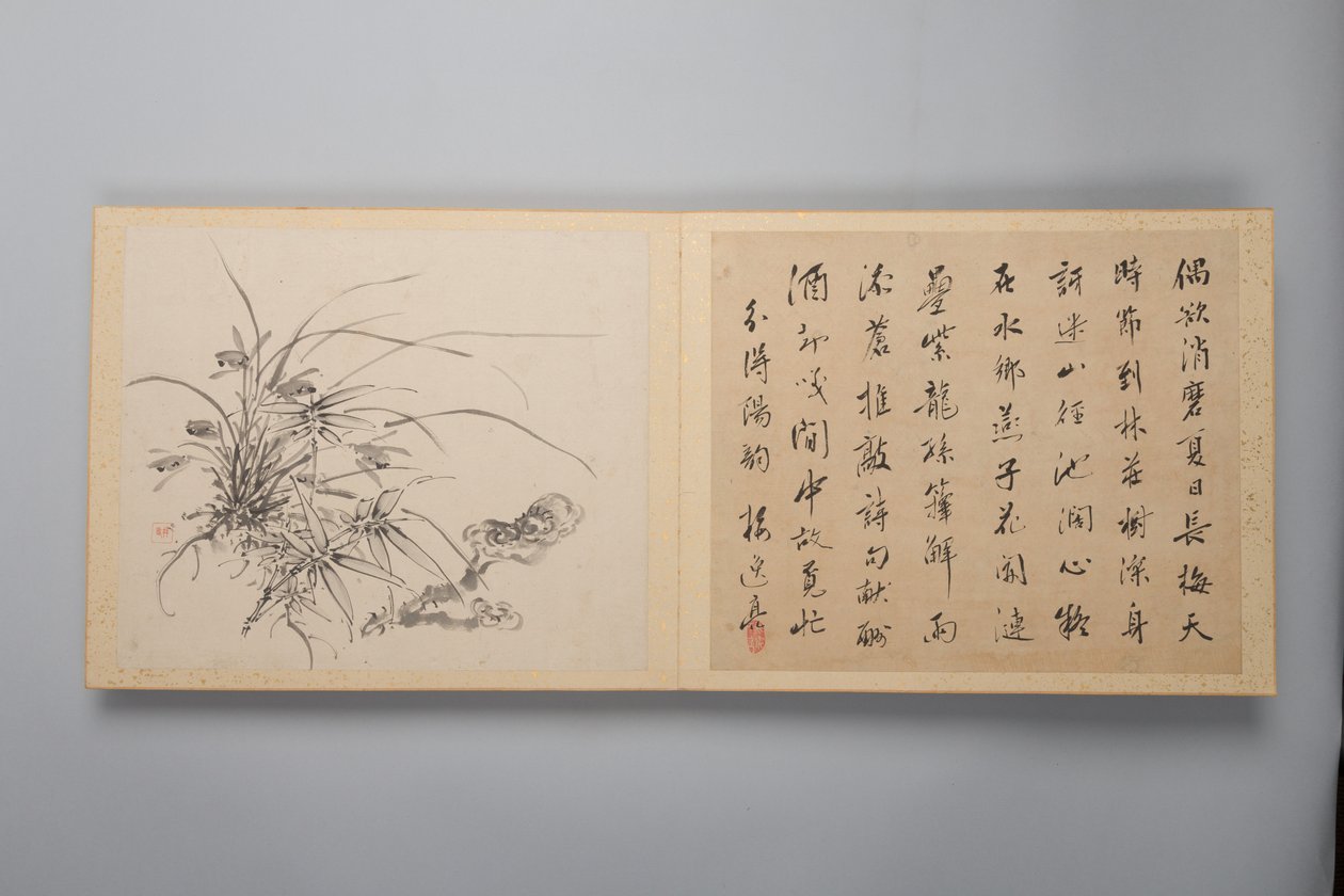 四季的精致优雅 Shiji seiga，花画专辑，1844年。 作者 山本白津