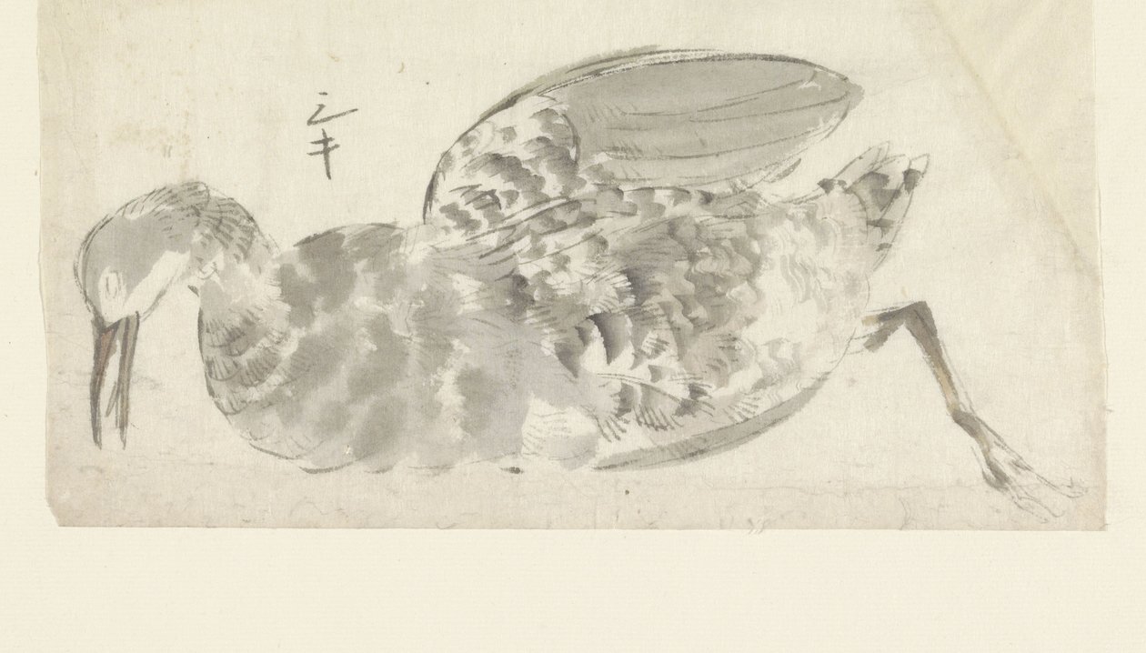 死水鸟 作者 山本真良白逸（可能）