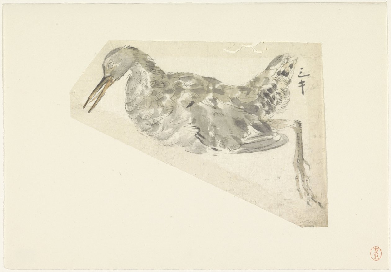 死水鸟 作者 山本真良白逸