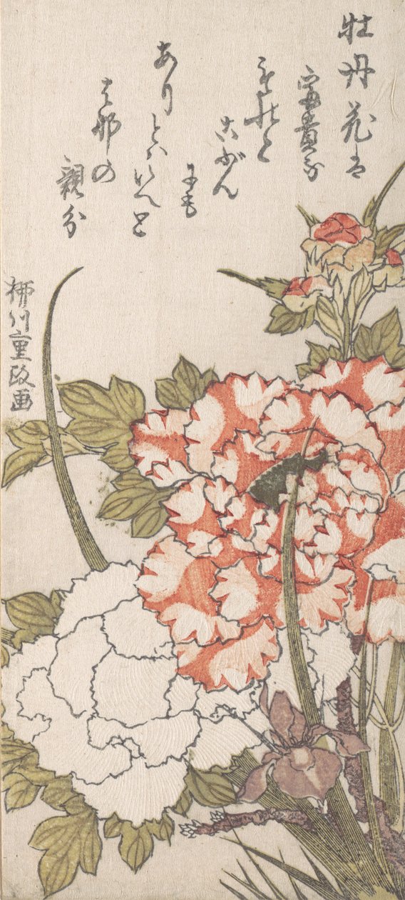 牡丹和鸢尾花，18-19世纪。 作者 柳川重政