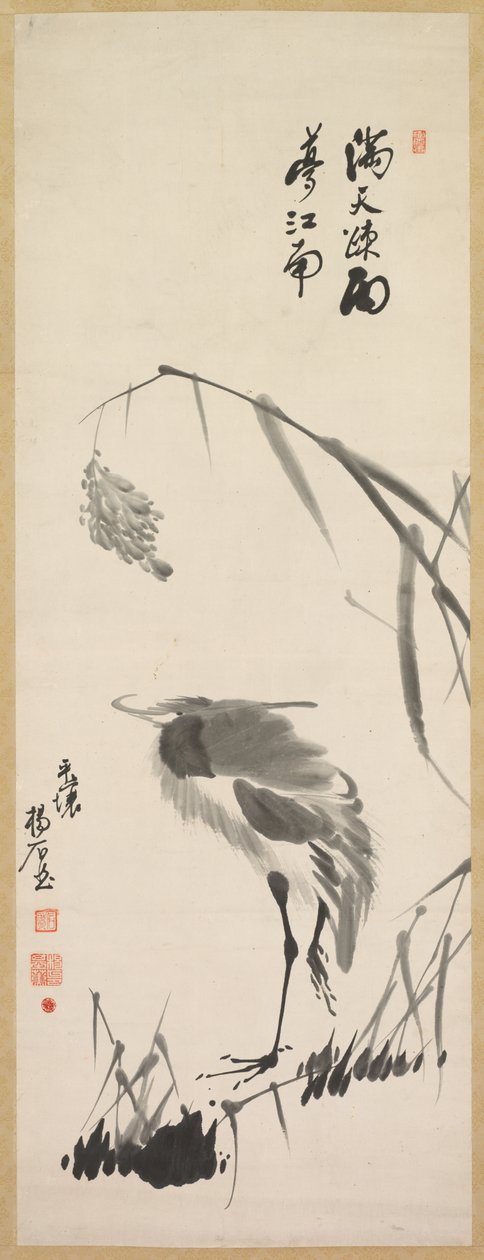 白鹭和芦苇 作者 杨基勋