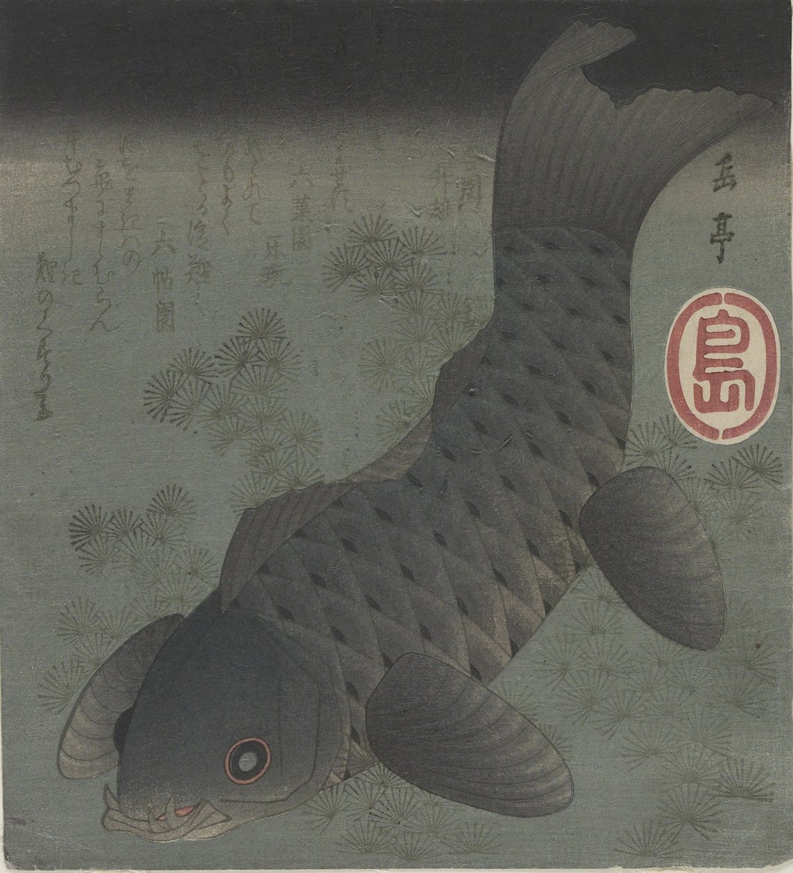 （黑鲤鱼），19世纪中期 作者 矢岛学亭
