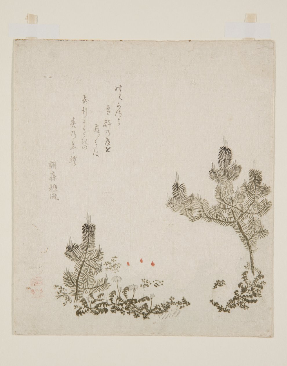 （彩色木版画） 作者 矢岛学亭