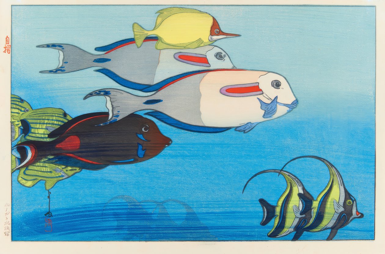 水族馆，檀香山 作者 吉田宏