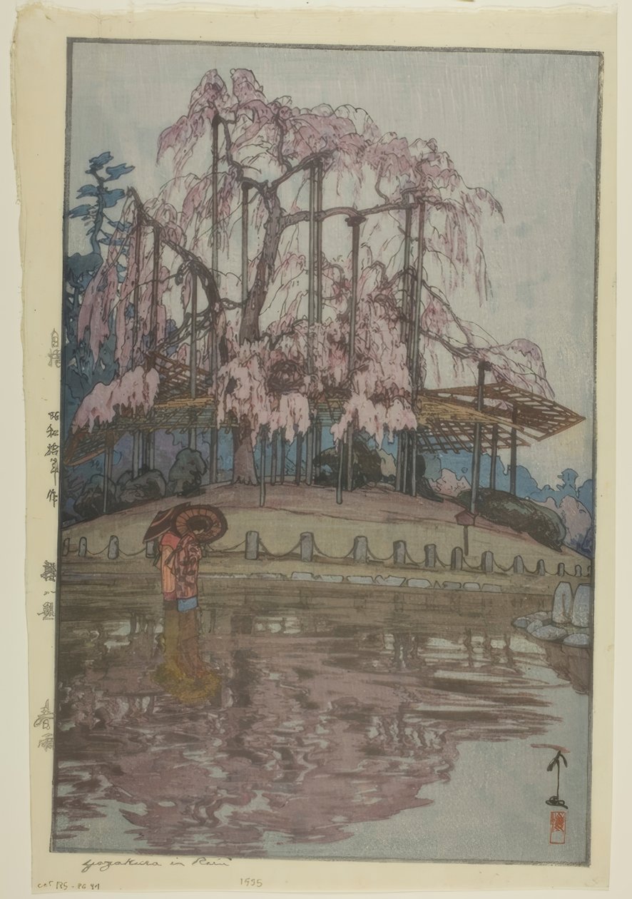 雨中的野樱 作者 吉田宏