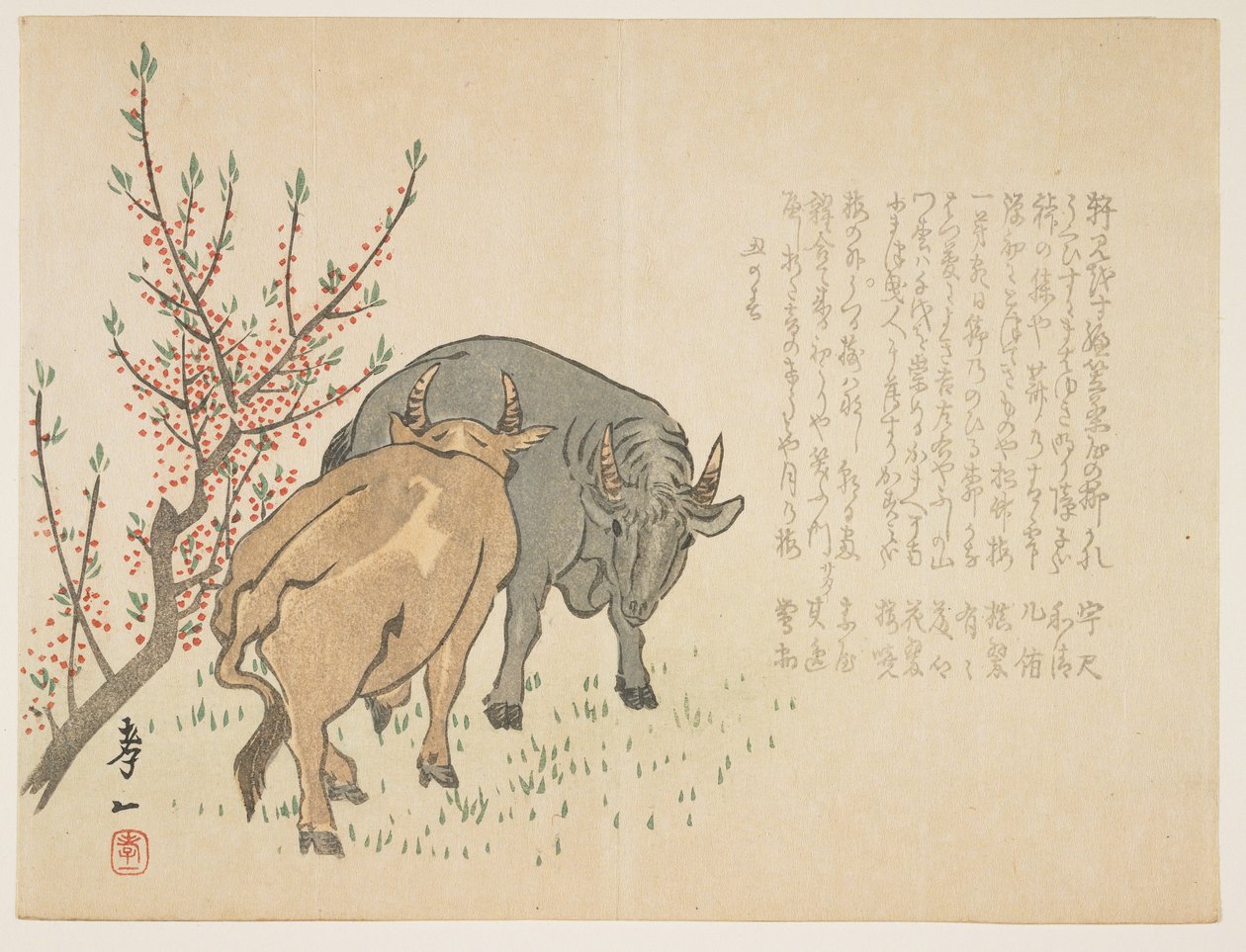 Oxen，1853年1月（彩色木版画） 作者 吉村纪津
