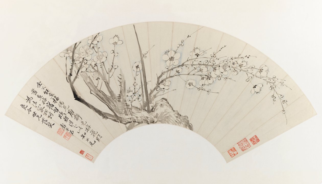 梅花（纸上的墨水和浅色） 作者 寿云
