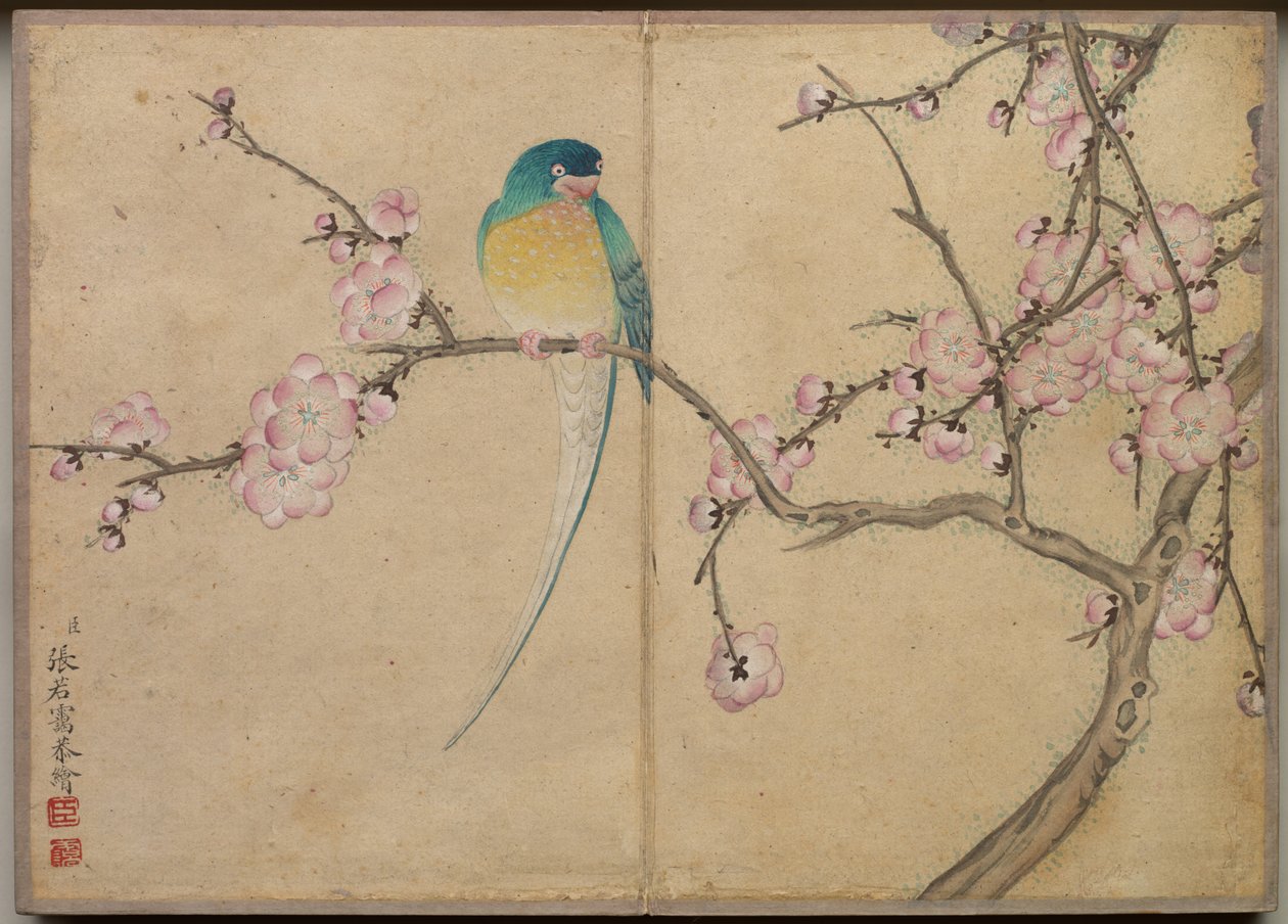 书桌相册：花鸟画（梅花雀） 作者 张若爱