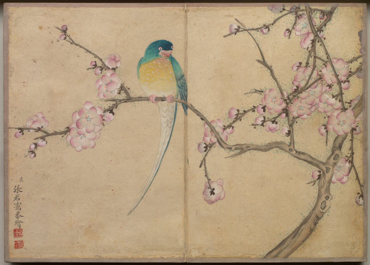 书桌相册：花鸟画（梅花雀） 作者 张若爱
