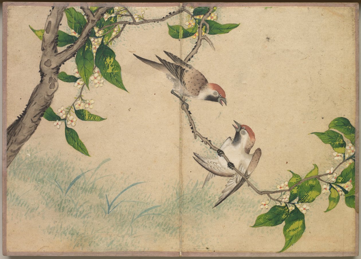 书桌相册：花鸟画（闲话麻雀） 作者 张若爱