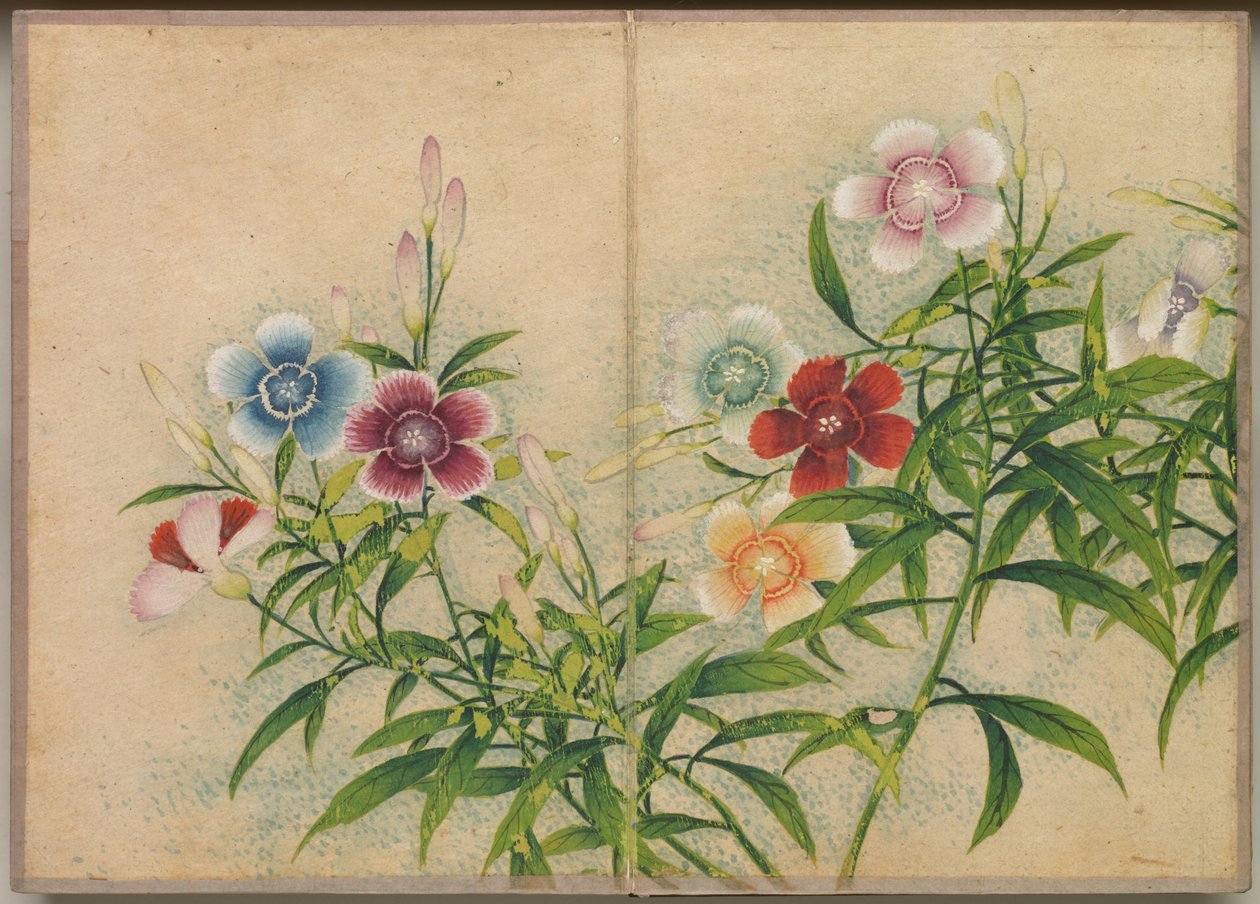 书桌相册：花鸟画（粉红色） 作者 张若爱