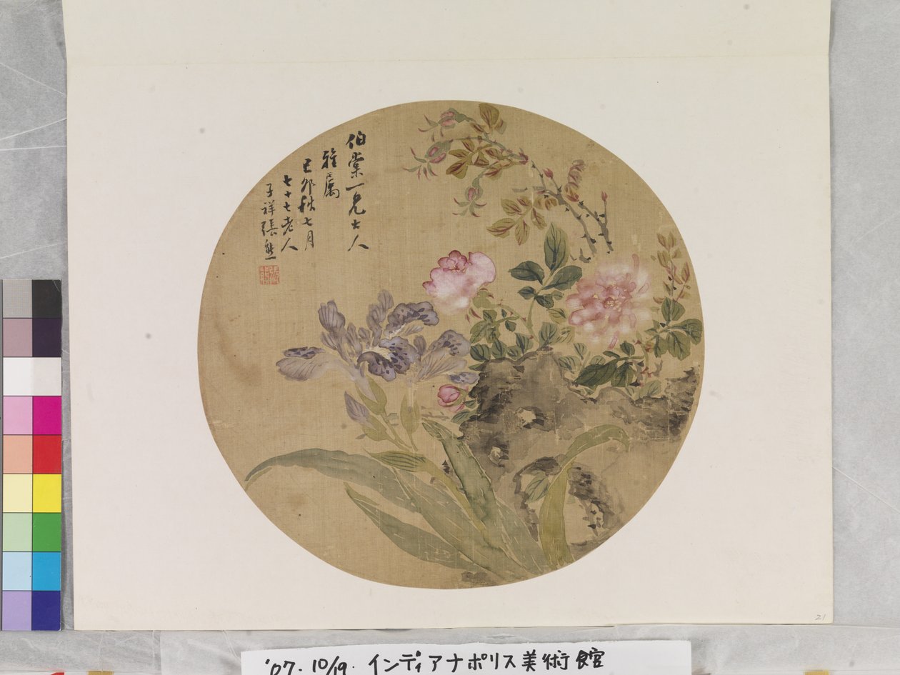 花与岩石 作者 张雄