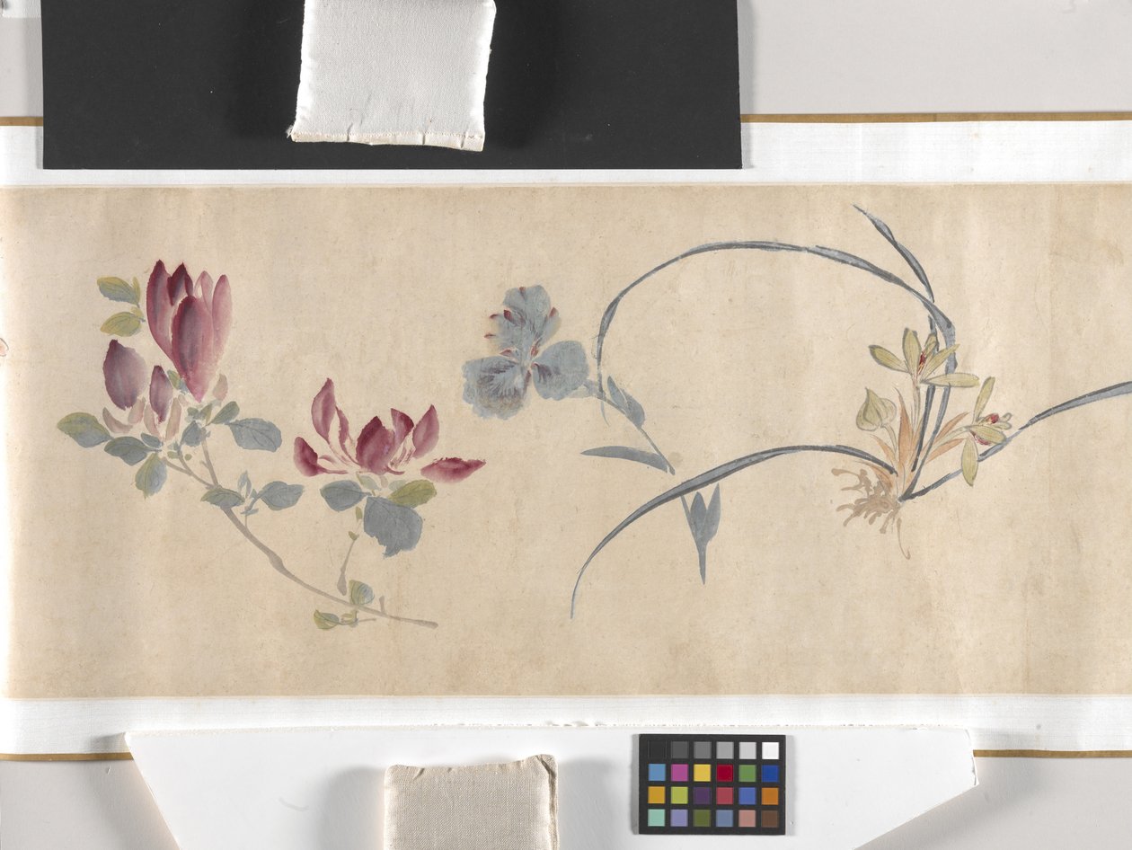 彩色花朵 作者 周志勉