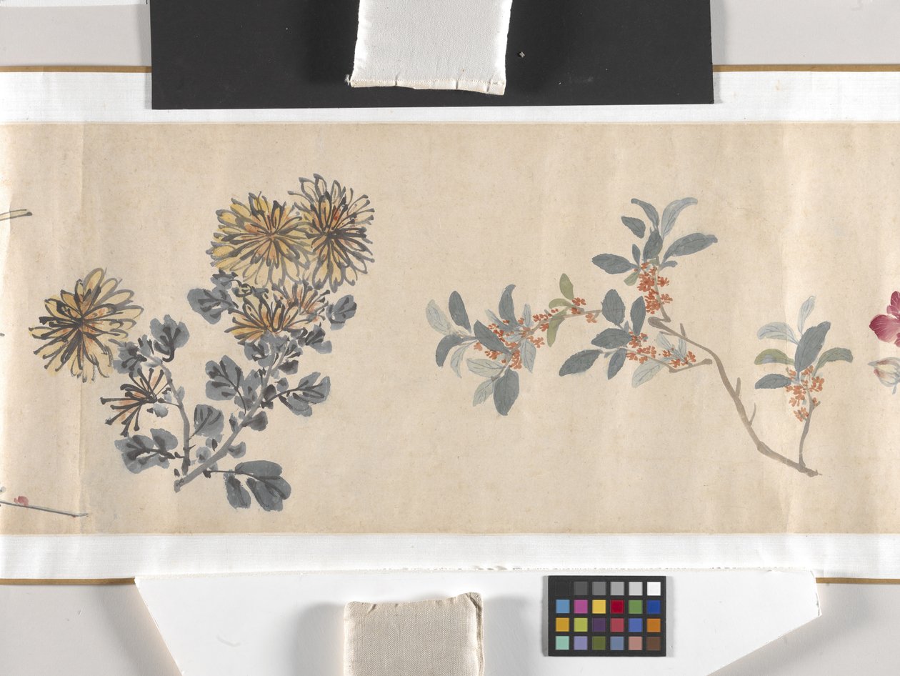 彩色花朵 作者 周志勉