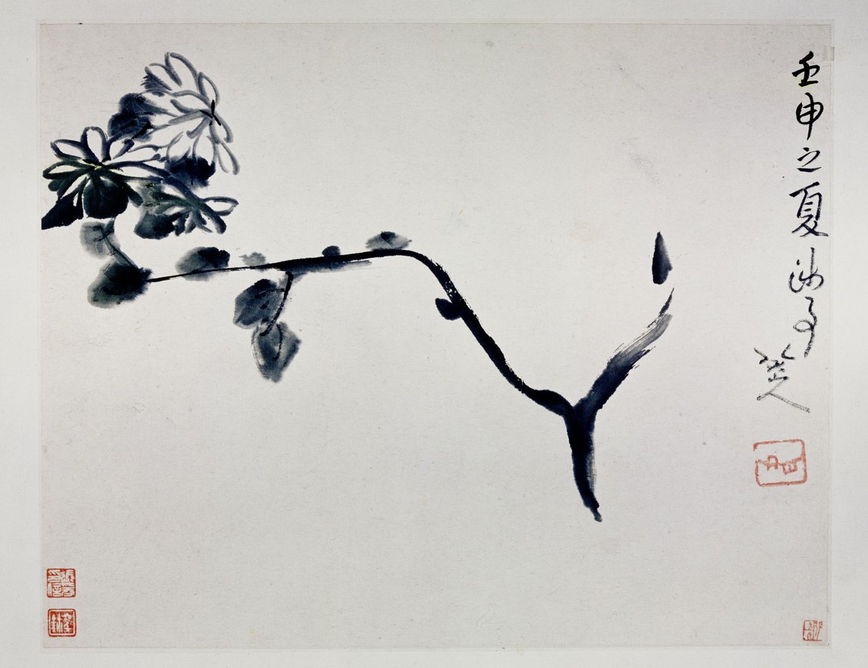菊花，1692年 作者 朱达