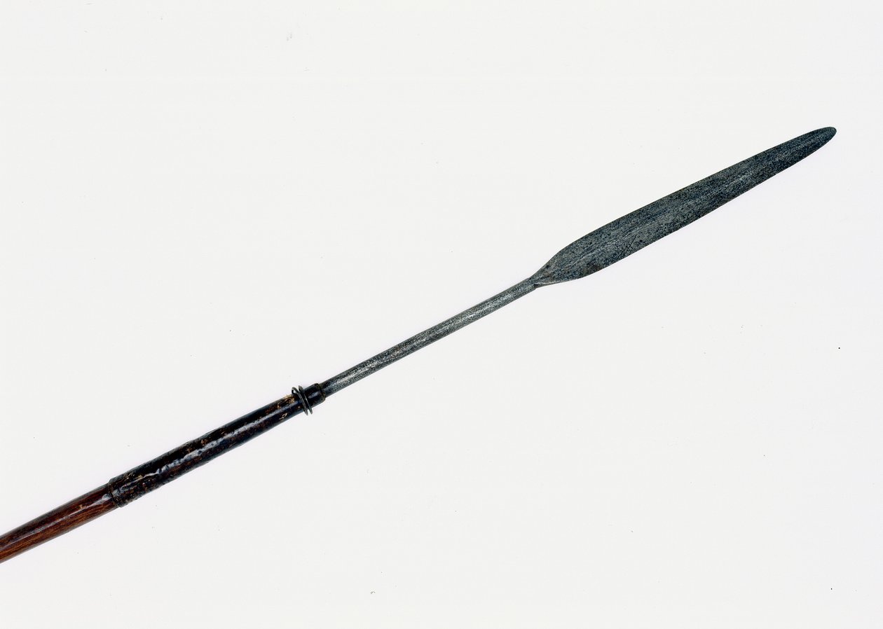 Assegai recovered from the vicinity of the Prince Imperials body 作者 祖鲁族