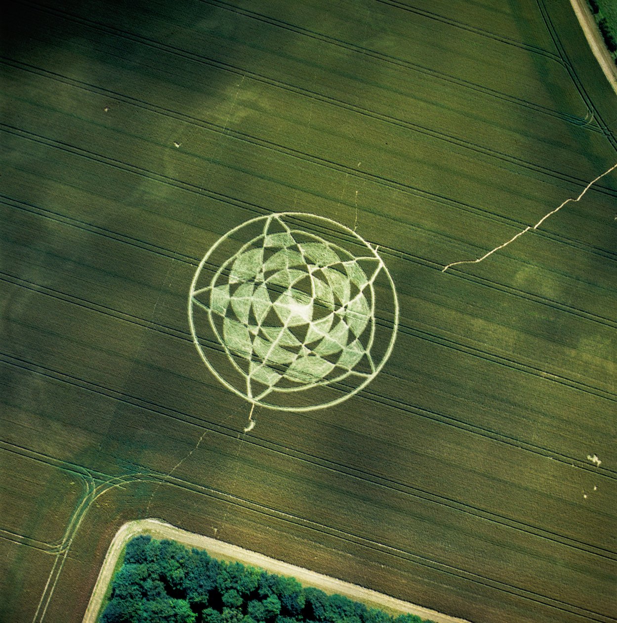 麦田里的麦田怪圈，威尔特郡，Avebury Henge，2002年6月22日（航空照片 作者 费迪南德·乔治·沃尔德米勒