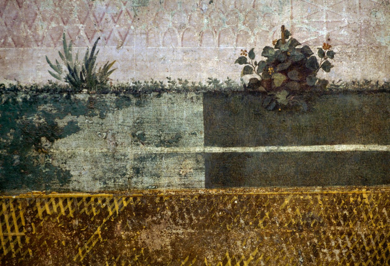 花瓶，描绘有果树和鸟类的花园的壁画的细节，来自意大利罗马帕拉蒂尼山上的利维亚宫。罗马文明 作者 丹尼尔·范登克伯恩
