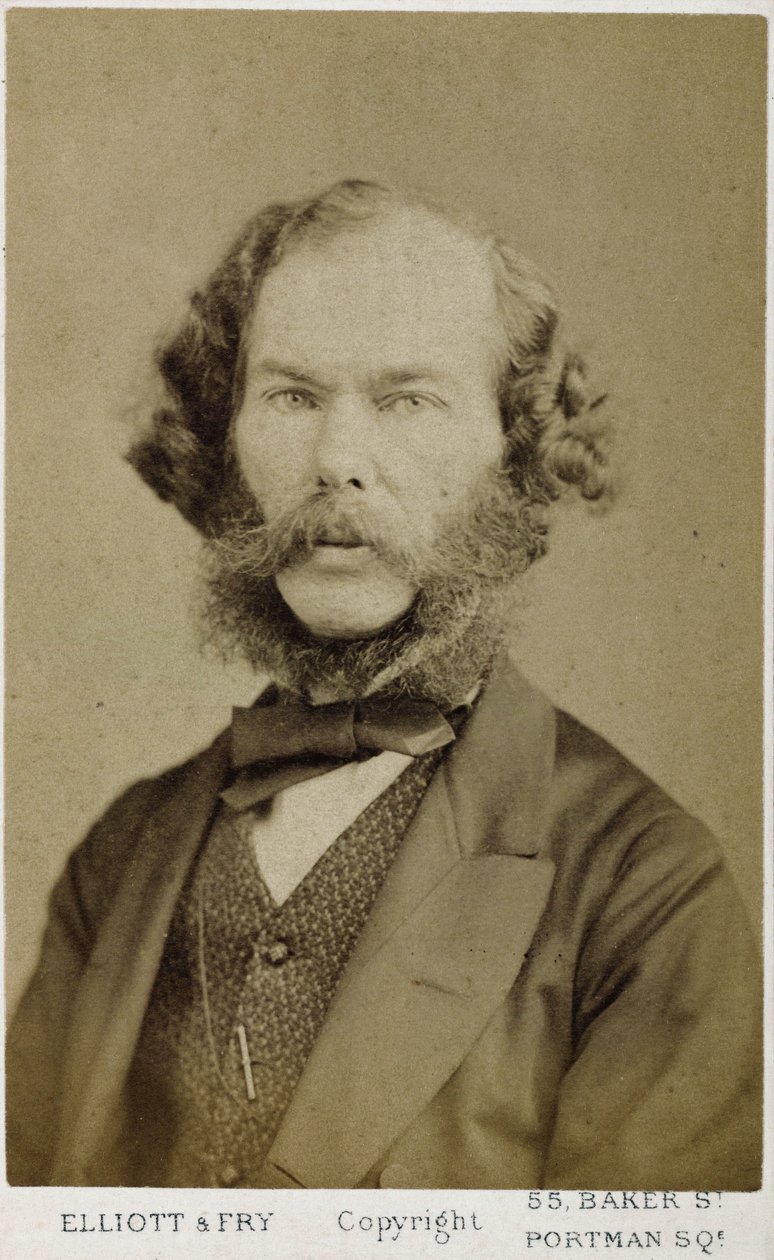 乔治-亨利-卢斯，英国作家和哲学家，约1865-1878年 作者 费迪南德·乔治·沃尔德米勒
