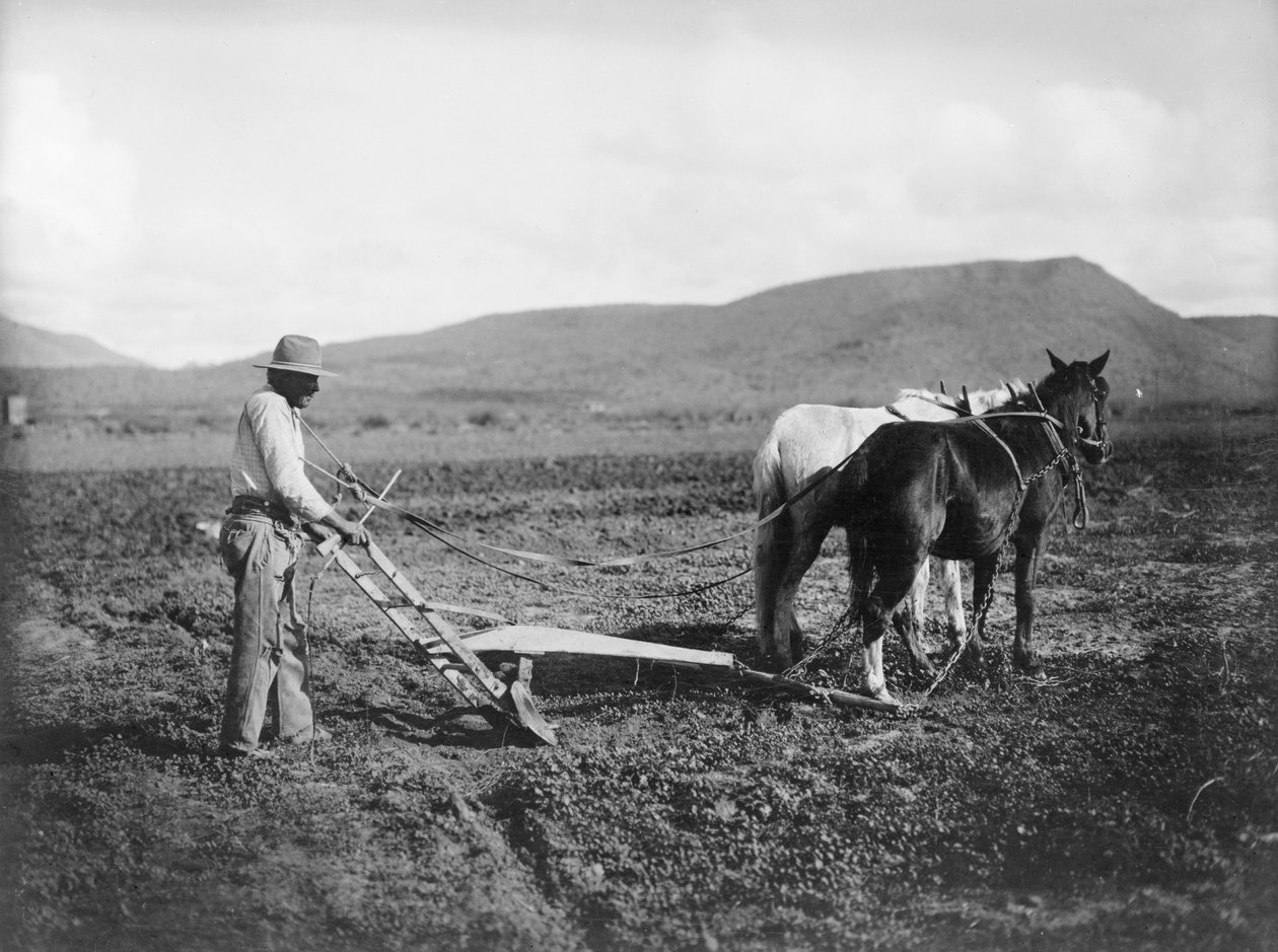 亚利桑那州萨卡顿印第安人保留地的印第安人在耕地，约1909年（黑白照片）。 作者 . .