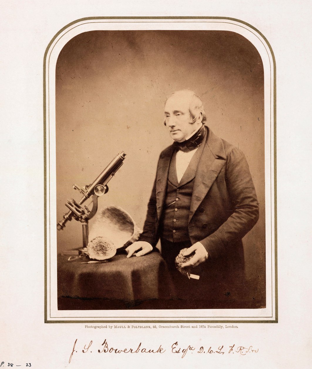 James Scott Bowerbank，英国地质学家 作者 费迪南德·乔治·沃尔德米勒