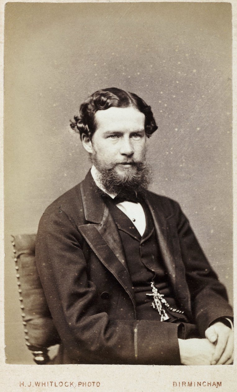 John Lubbock，Avebury男爵，约1870年 作者 费迪南德·乔治·沃尔德米勒