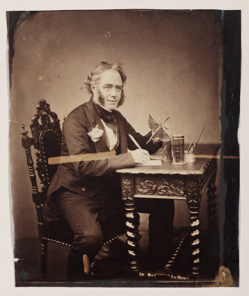 John Obadiah Westwood，英国昆虫学家和古文字学家，约1850年 作者 费迪南德·乔治·沃尔德米勒