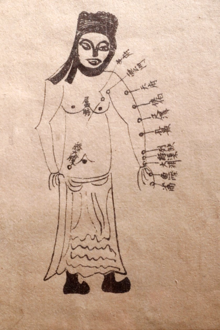 越南传统医学博物馆，通道和血管，针灸之书，胡志明市，越南 作者 理查德（后）爸爸