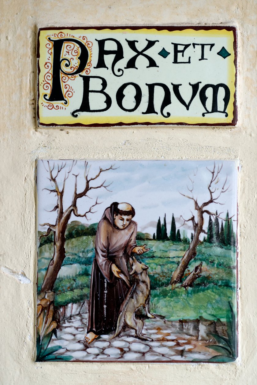 Pax et Bonum：拉丁语格言和问候语在方济各会和天主教中传播。蒙特罗索-阿尔马。意大利。 作者 . .