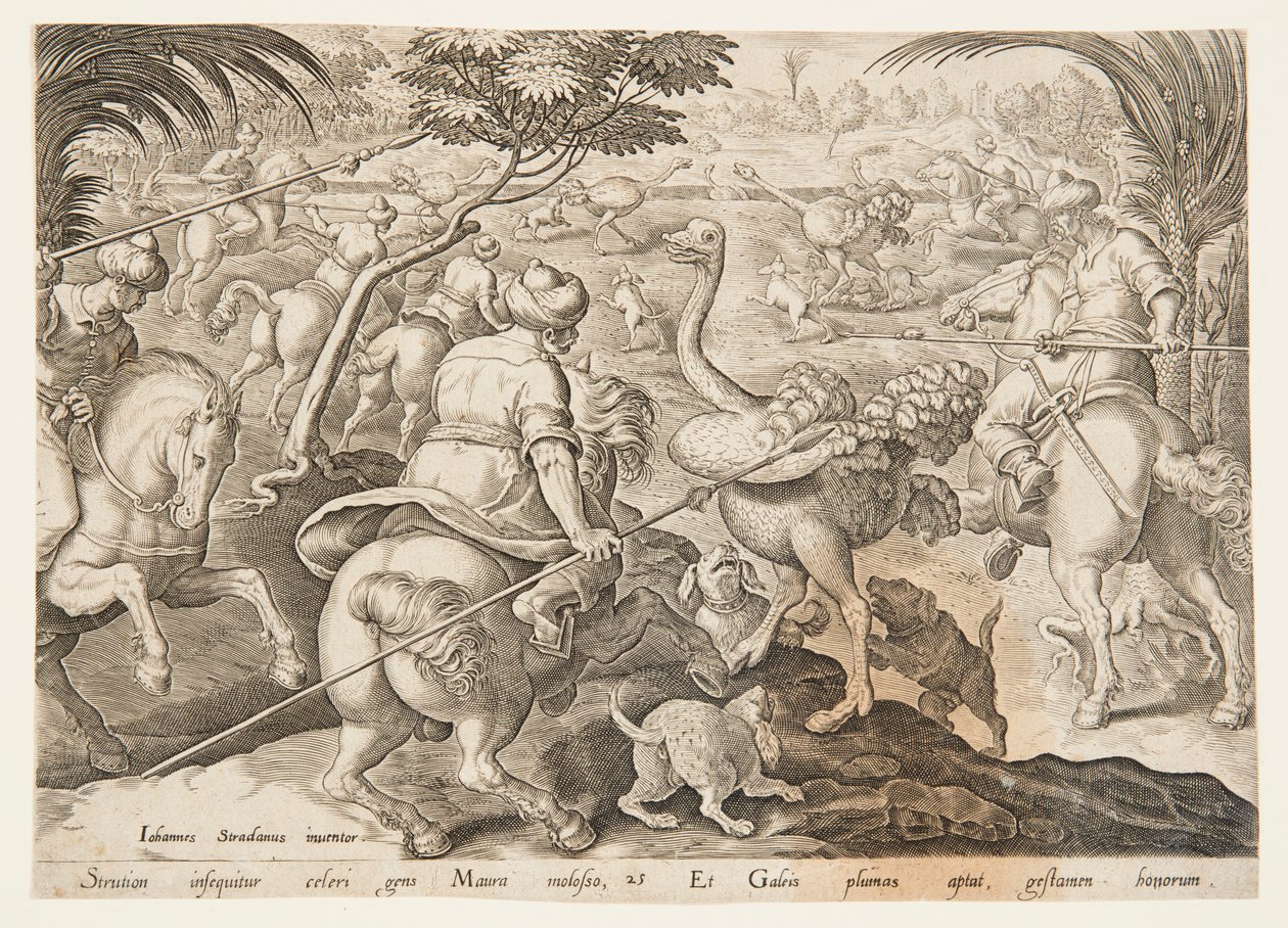猎杀鸵鸟 作者 在 Jan van der Straet 之后，称为 Stradanus
