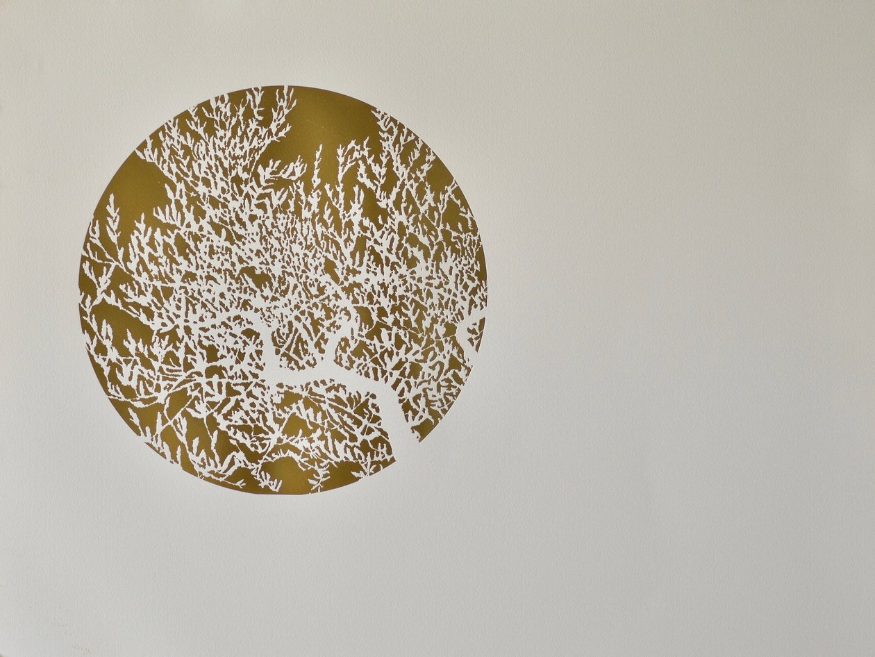 隐藏的智慧，2017年，烫印叶卷在纸上 作者 安格斯火腿
